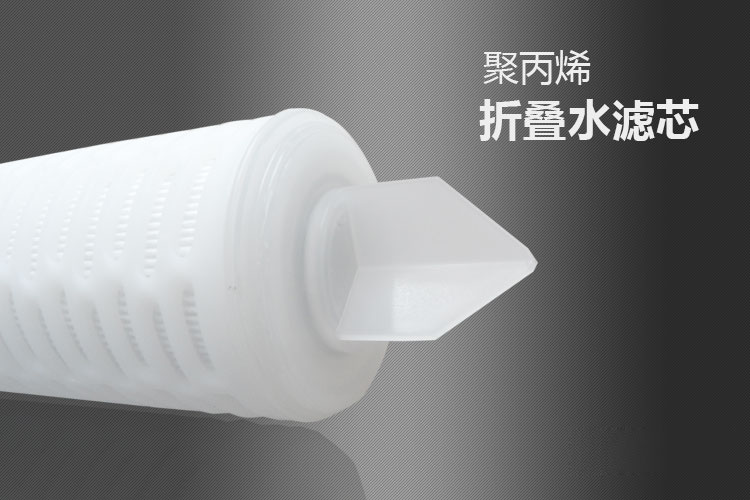 保安过滤器滤芯RTM41HF050E